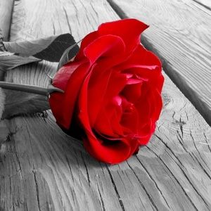 Meet your Posher, Lila